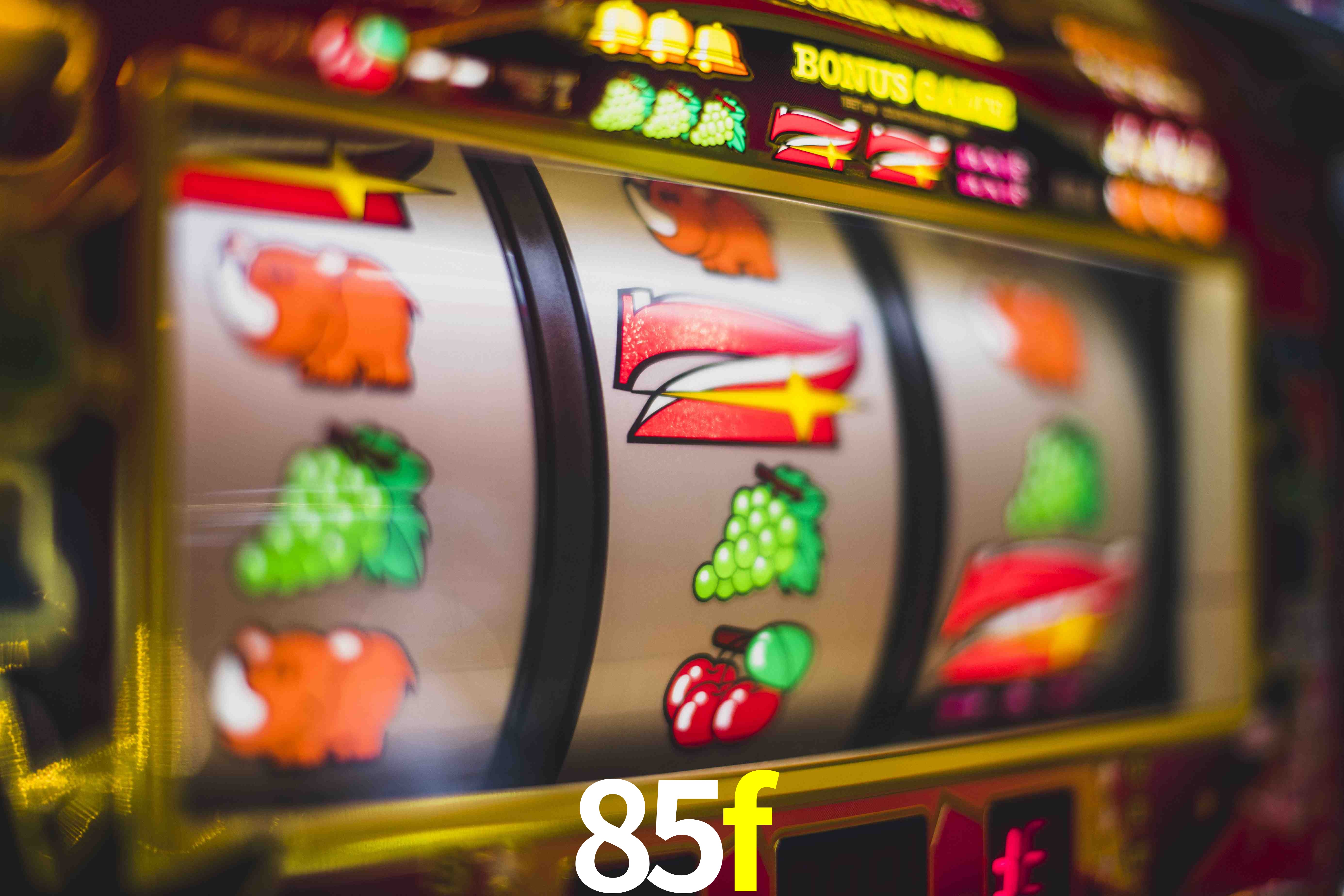 Sports Statistics 85f